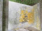 image of grave number 883925